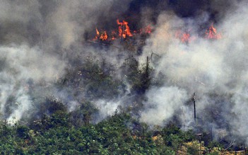 Brazil triển khai quân đội chữa cháy cho rừng Amazon