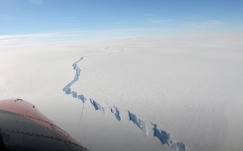 Tảng băng lớn bằng một nửa TP.HCM tách khỏi Nam cực