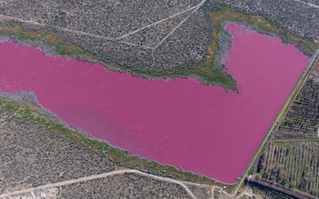 Hồ nước biến thành màu hồng tại Argentina