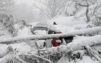 Ùn ùn đi ngắm tuyết rơi, ít nhất 22 người Pakistan thiệt mạng trong ô tô