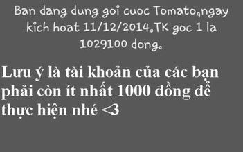 'Cháu ông chú Viettel' bị bắt, em của ‘chị gái Viettel’ xuất hiện