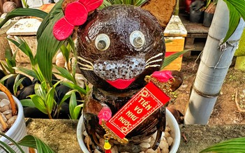 Dừa bonsai hình con mèo 'độc lạ' của người đàn ông ở TP.HCM hút khách dịp tết
