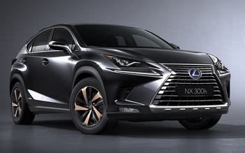 Lexus NX300 phiên bản đặc biệt có giá khoảng 1 tỉ đồng