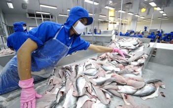 ‘Sốt’ giá thực phẩm toàn cầu giúp xuất khẩu cá tra tăng mạnh