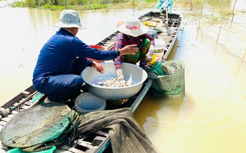 Nước lũ về miền Tây chuyển biến tích cực