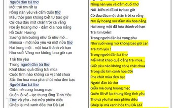 Lại phát hiện thơ của tác giả được tặng thưởng Hội Nhà văn TP.HCM giống thơ... người khác