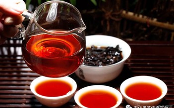 Bạch trà - trà hiếm hoi nhất trên thế giới có gì đặc biệt?