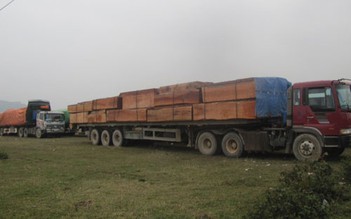 Phạt 23 xe chở gỗ quá tải 230 triệu đồng