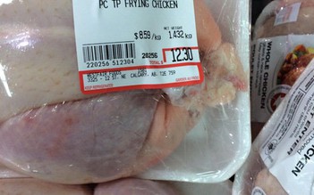 Nghi án phá giá thịt gà