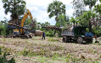 Ngăn chặn mua bán cây thốt nốt