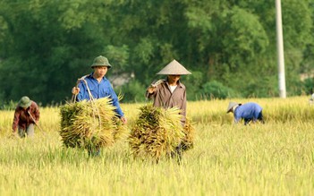 Tôn vinh 63 nông dân xuất sắc tiêu biểu