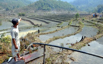 Ngăn suối, đào mương cứu ruộng hạn