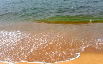 Nước biển bỗng biến thành màu đỏ đục kéo dài 1,5 km ở Quảng Bình