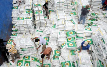 Giá gạo xuất khẩu của VN rơi từ đỉnh xuống đáy