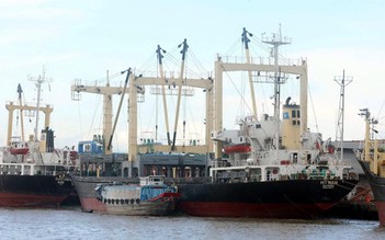 Giá cước vận tải biển một tấn hàng từ TP.HCM - Hà Nội chỉ bằng... 2 bát phở