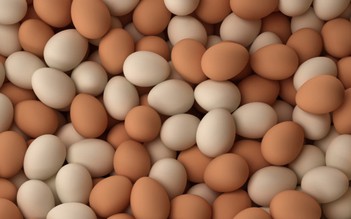 Tiêu hủy 18.000 quả trứng gà nhập lậu