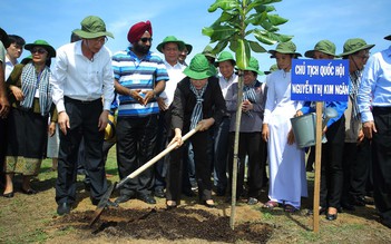 Chủ tịch Quốc hội Nguyễn Thị Kim Ngân trồng cây bàng vuông ở Cần Giờ