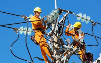 Đình chỉ công tác lãnh đạo điện lực để xảy ra sự cố tính nhầm tiền điện