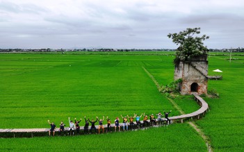 Lò gạch cũ giữa cánh đồng xanh, đẹp như phim trong khung hình 'check-in' của giới trẻ