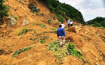 Quảng Nam: Sạt lở kéo dài hơn 1 km, hàng trăm hộ dân bị cô lập