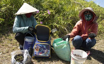 Chèo thuyền ra đảo Yến lùng tìm... 'mật ngọt'