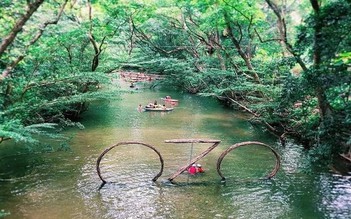 Vụ 'lấn' rừng phòng hộ: Tiếp tục yêu cầu Công ty Phong Nha Heritage khắc phục hậu quả