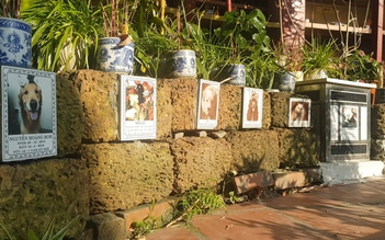 Ứa nước mắt viếng thú cưng tại ngôi chùa độc đáo ở Hà Nội