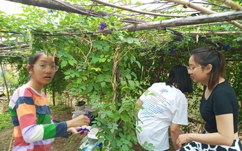 [NGÀY KHAI TRƯỜNG] Mắc kẹt ở quê vì giãn cách, bố mẹ cho con 'học ké' trường làng!