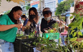 Ở đây bán rất nhiều cây trồng, giá chỉ 1.000 đồng