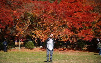 Bộ ảnh mùa thu ở Hàn Quốc đẹp 'hút hồn' của chàng trai Việt