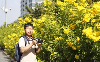 Có con đường hoa vàng đang nở rực, đợi mọi người đến 'sống ảo'