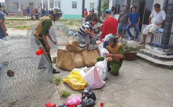 Nổ súng tại trường gà: Tạm giữ hình sự 6 người để điều tra