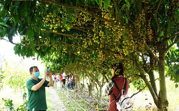 Kích thích, phục hồi hoạt động du lịch Cà Mau