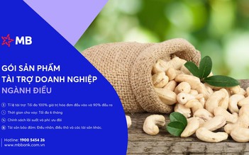 MB đồng hành tháo gỡ khó khăn cho doanh nghiệp gạo, điều