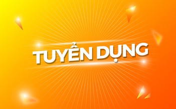 Công ty truyền tải điện 4 - Thông báo tuyển dụng