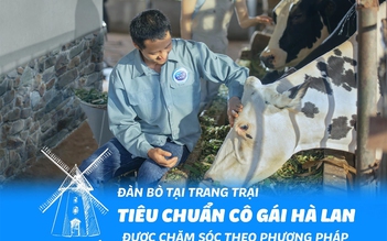 Bí quyết thành công của Cô Gái Hà Lan tại Việt Nam