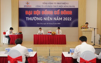 Đại hội đồng cổ đông Công ty CP Thủy điện Sông Ba Hạ