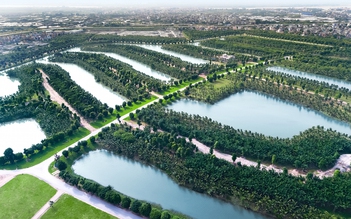 Ecopark và ‘chiến lược’ ngược dòng