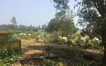 Rộng cửa cho ‘đầu tàu kinh tế’