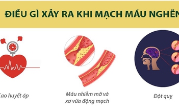 Công dụng thông huyết mạch của tinh dầu thông đỏ