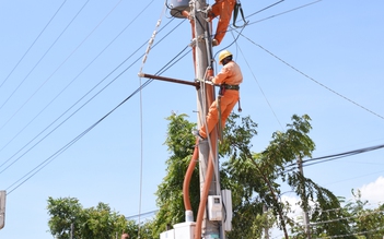 Điện lực Bình Thuận góp phần phát triển cây thanh long