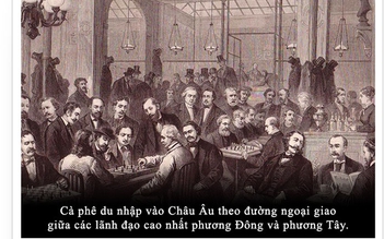 Kỳ 12: Cà phê chinh phục châu Âu