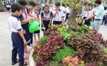 Hàng ngàn học sinh tham gia ‘Góc xanh học đường’ trồng cây phủ xanh sân trường