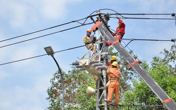 Tăng cường bảo trì, bảo dưỡng lưới điện