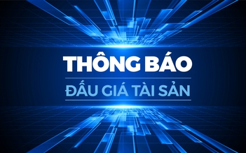 Thông báo đấu giá tài sản - Số: 265/TBĐG-TN (theo thủ tục rút gọn)