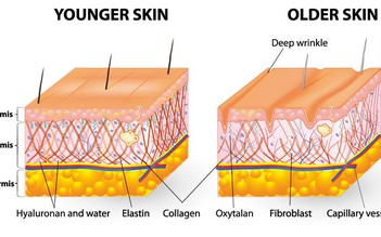 Bổ sung collagen cho làn da căng mịn, trắng hồng