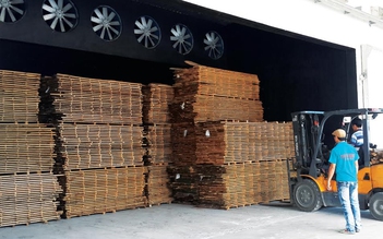 Trung tâm phân phối gỗ nguyên liệu nhập khẩu lớn nhất VN đi vào hoạt động