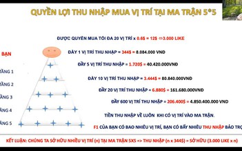 TP.HCM kiểm tra 5 công ty, hộ kinh doanh trong 'đường dây' kinh doanh đa cấp