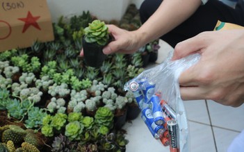 Cách nào để 'giải cứu' pin cũ không dùng nữa?