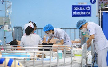 TP.HCM: Tử vong do sốt xuất huyết lên đến 21 ca